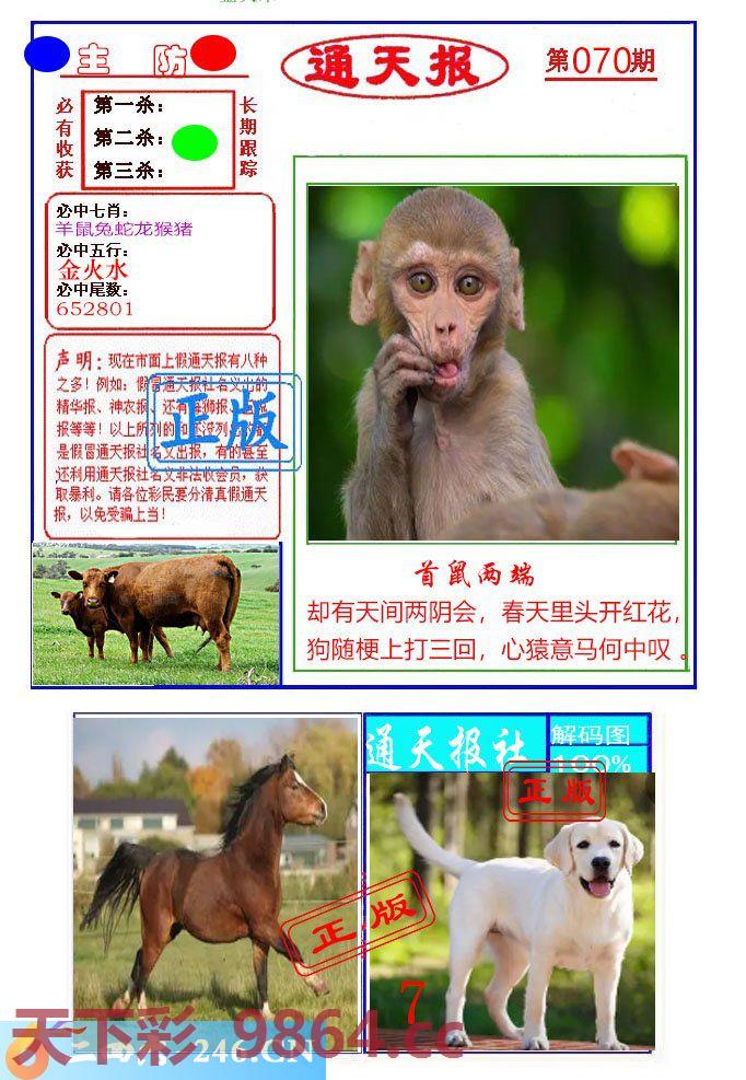 ：通天杀波图1